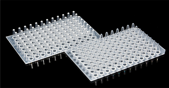 غير مستهلكات PCR غير متشابكة 0.1 مل 96 لوحة PCR جيدة للمختبر