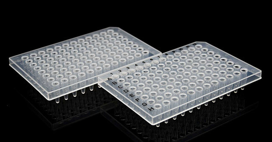 لوحة PCR 0.2 مل 96 لوحة تفاعل PCR جيدًا بنصف متجنب